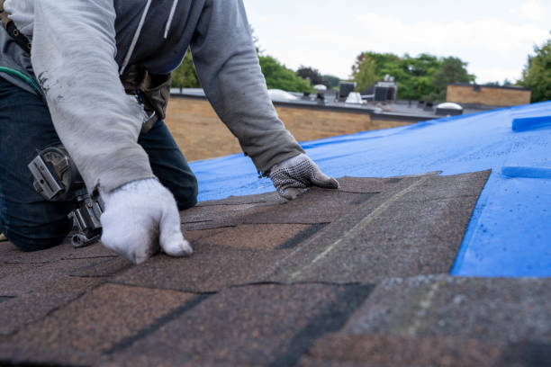Best Roof Leak Repair  in Barry, IL