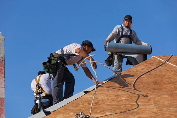 Roof Gutter Cleaning in Barry, IL